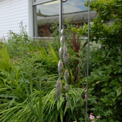 Garden area at Park Avenue